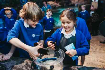 Habitats, Ecosystems and Conservation at the National SEA LIFE Centre Birmingham